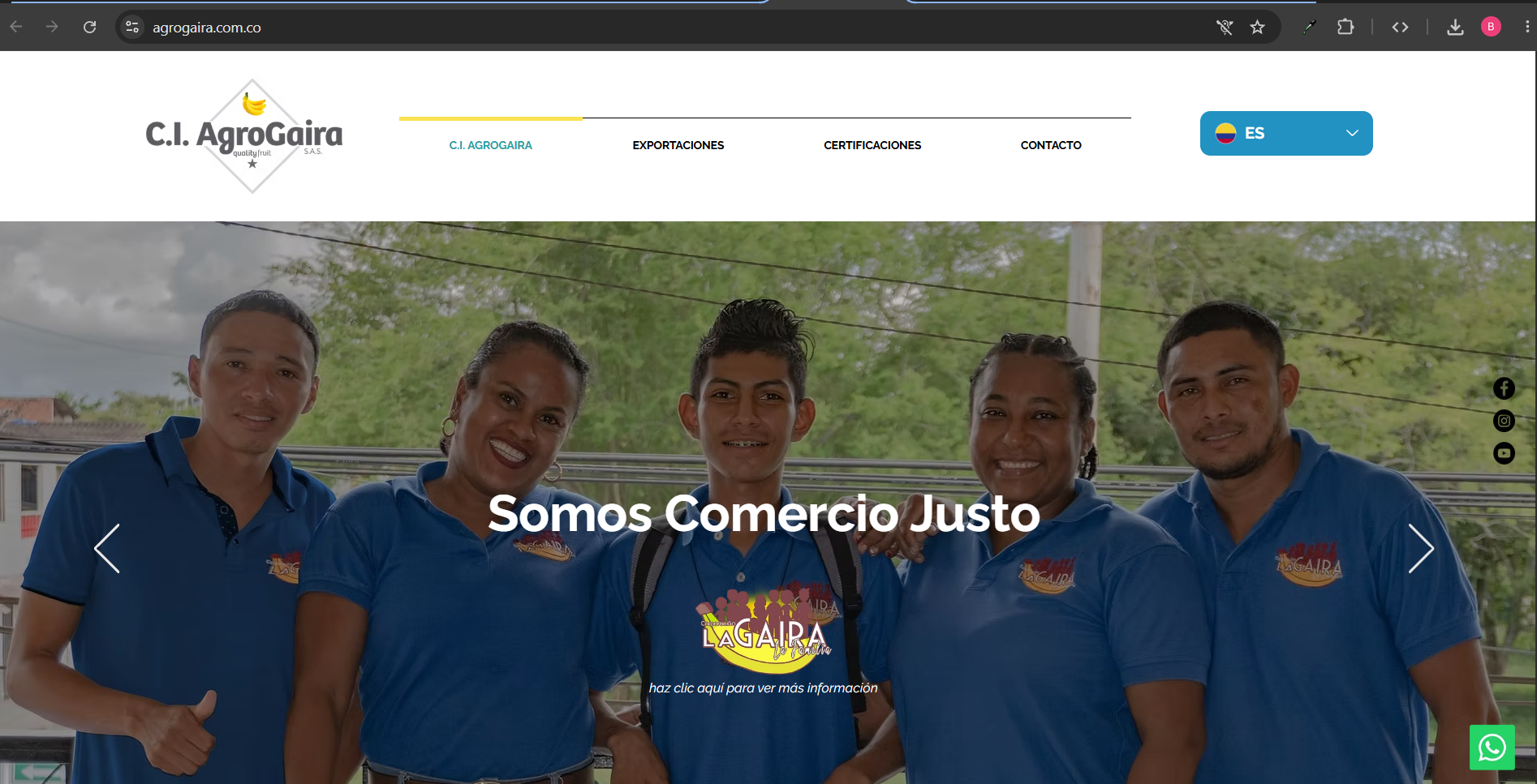 Páginas Web & Portales